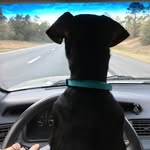 Houston Wells - @hootwells - Instagram