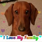 Kathy Howard Albright - Facebook
