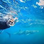 Howard Alston - @alston.howard - Instagram