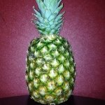 Howard P. Apple - @howardpapple - Instagram