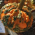 Howard’s Apples - @howardsapples - Instagram
