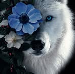 Howard Badger - Facebook