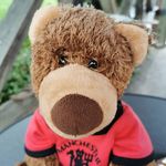 Howard - @howard_der_baer - Instagram