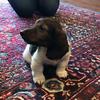 Howard Bark - @howard.bark - TikTok