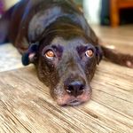 Howard Berkowitz - @hberkokc - Instagram