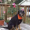 Howard Blackmon - @howard.blackmon4 - TikTok