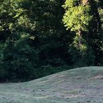 Howard Boles - @boles_howard - Instagram