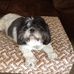 Howard Boucher - Facebook