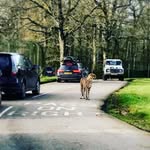 Howard Boyle - @howardboyle49 - Instagram