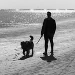 Howard Boyles - @boyleshoward - Instagram