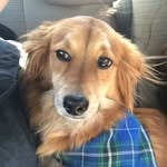 Howard J. Boyle - @halihowieb - Instagram