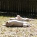 Howard Bouton - Facebook