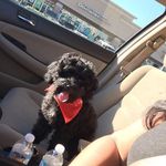 Howard Buckley - @howard.buckley.71 - Instagram