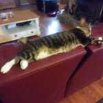Howard Caldwell - @how_call - Instagram