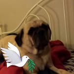 Howard Caldwell - @howard.caldwell.52 - Instagram
