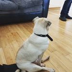 Howard Capps - @cappsh983 - Instagram