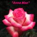Howard Carman - Facebook