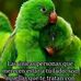 Howard Castro - Facebook