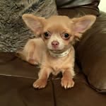 Susan Howard Collier - @susan.howardcollier - Instagram