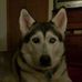 Howard Conover - Facebook