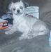 Christine Howard - Facebook