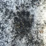 @howard_craft - Instagram