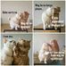 Howard Craft - Facebook