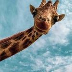 Howard Cronin - @cronin.howard - Instagram