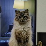 Howard Davey - @hgdavey - Instagram
