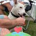 Howard Denton - Facebook