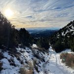 Howard Drummond - @h.s.drummond - Instagram
