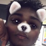 @dukes.of.howard - Instagram