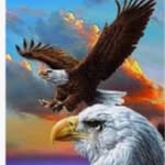 Howard Edmonds - @howard.edmonds.585 - Instagram