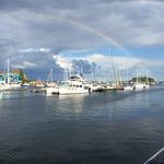 Howard Englander - @howardenglander - Instagram