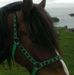 Howard Farrell - Facebook