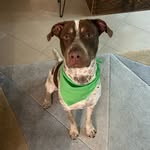 Howard Farris - @howardfarris_ - Instagram