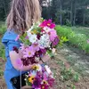 Lindsay Howard Fell - @brambleandbloomflowers - TikTok
