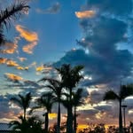 Howard Fishman - @howard.fishman - Instagram