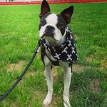 Floyd Howard 🐕♥ - @floyd_howard17 - Instagram