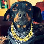 Howard Ray & Friends - @howard_ray_and_friends5 - Instagram