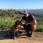 Howard Fu - @mapo_tofu_ - Instagram