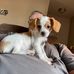 Howard Gilbertson - Facebook