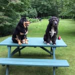 Howard Gossack - @howardgossack - Instagram
