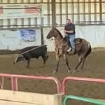 Howard Gossmeyer - @howardgossmeyer - Instagram