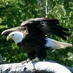 Howard Gray - @howard.gray - Instagram