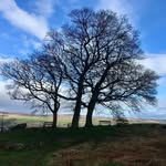 Howard Gray - @i_h_gray - Instagram