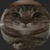 Howard Griggs - @howardgriggs_194 - TikTok