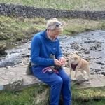 Howard Grimshaw - @howardwgrimshaw - Instagram