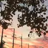 HowardHankpnoK - @howardhankpnok - TikTok