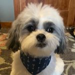 howard j. hatch - @howardjhatch - Instagram